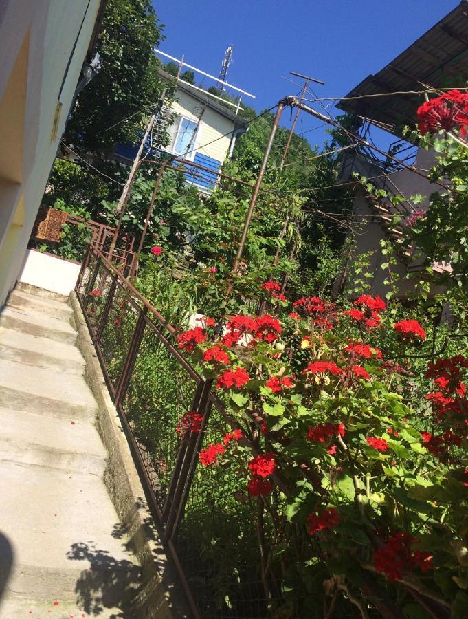 Гостевой Дом «Лиза» Hotel Gagra Exterior foto
